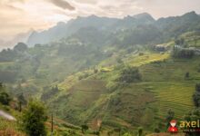 Vietnam Güvenli mi?