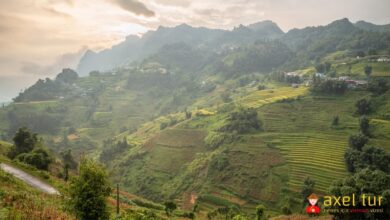 Vietnam Güvenli mi?