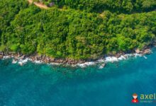 Vietnam'a Ne Zaman Gidilir?