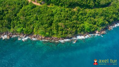 Vietnam'a Ne Zaman Gidilir?