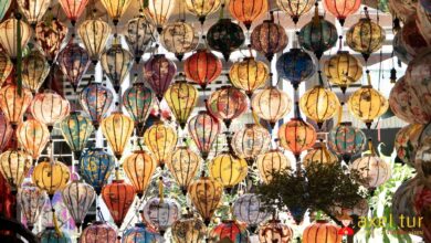 Vietnam Gezi Rehberi